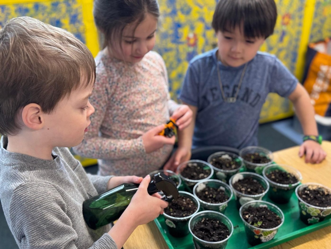Preschoolers planting in the garden at ACNS in Auburndale, Newton MA